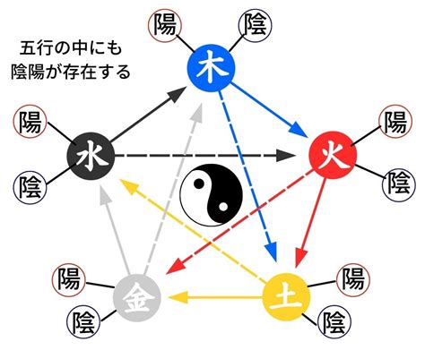 陰と陽 人間|陰陽五行説｜基礎知識から法則、具体例についてわか 